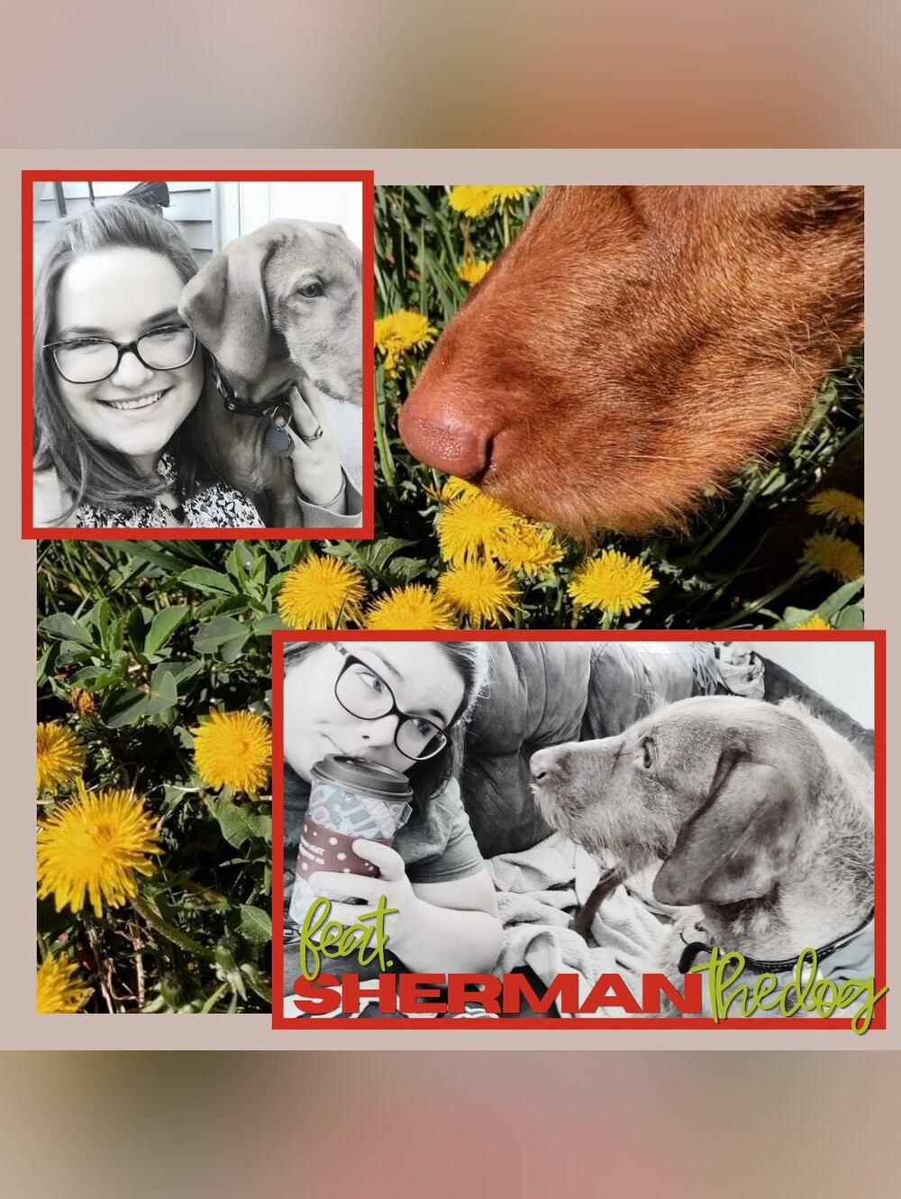 BESS-EA-EAFOLSOM09 is LIVE! Come join me! - Picture 2 of 10